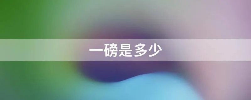 一磅是多少