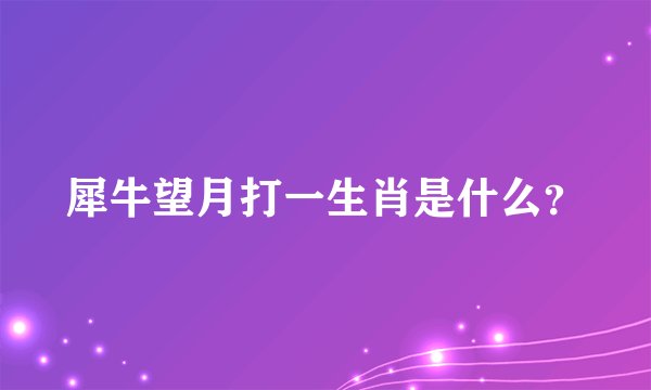 犀牛望月打一生肖是什么？