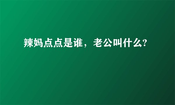 辣妈点点是谁，老公叫什么?