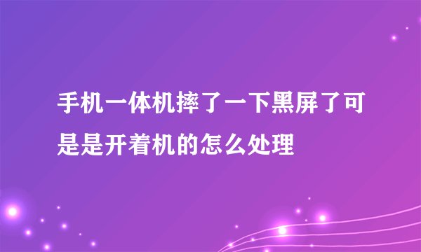 手机一体机摔了一下黑屏了可是是开着机的怎么处理