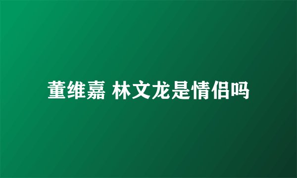 董维嘉 林文龙是情侣吗