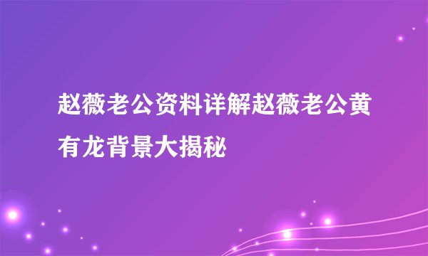 赵薇老公资料详解赵薇老公黄有龙背景大揭秘