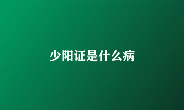 少阳证是什么病