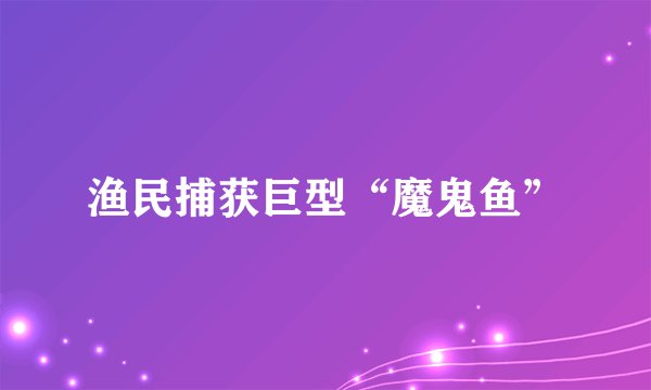渔民捕获巨型“魔鬼鱼”