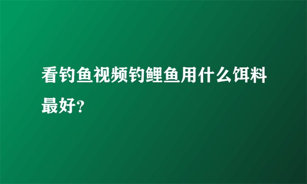 看钓鱼视频钓鲤鱼用什么饵料最好？