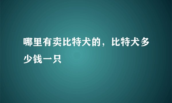 哪里有卖比特犬的，比特犬多少钱一只