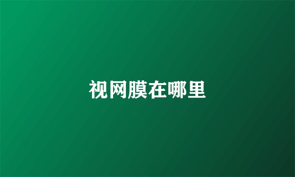 视网膜在哪里