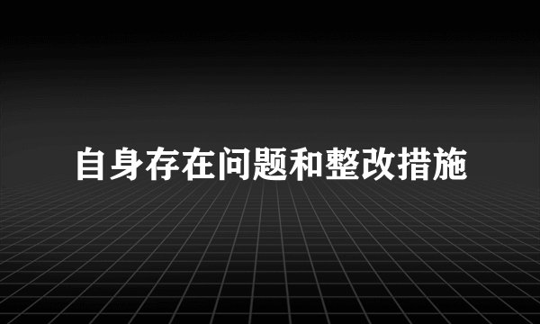 自身存在问题和整改措施