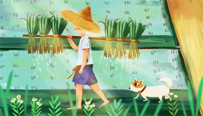 关于小满的唯美句子 小满的唯美句子有哪些