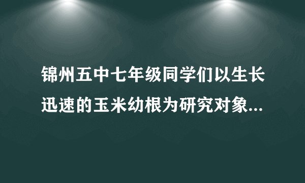 锦州五中七年级同学们以生长迅速的玉米幼根为研究对象,探究了“根什么部位生长最快”.下面是其中一个班的同学们所设计的方案及连续三天测量结果的平均值.探究方案设计        分段时间ABCD    选取玉米的一条幼根,自幼根尖端向上等距离画分为4段,将幼苗放在培养皿中培养第一天第二天第三天(1)此探究结果可以得出的结论是 ；(2)根据你所学到的知识,你认为根生长的原因是:(1) ；② ．