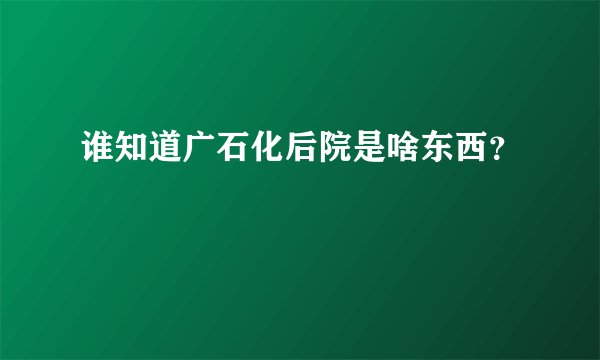 谁知道广石化后院是啥东西？