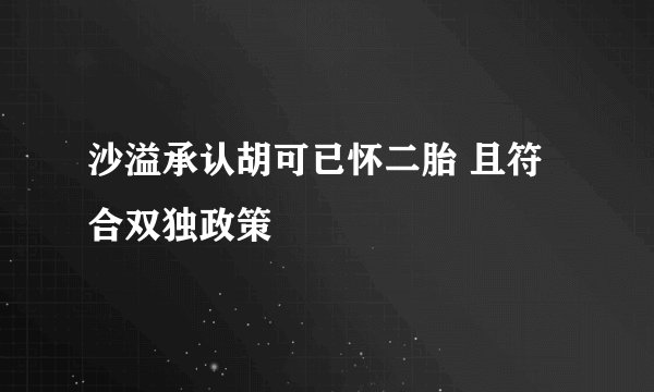 沙溢承认胡可已怀二胎 且符合双独政策