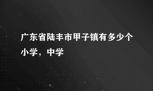 广东省陆丰市甲子镇有多少个小学，中学