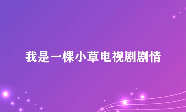 我是一棵小草电视剧剧情