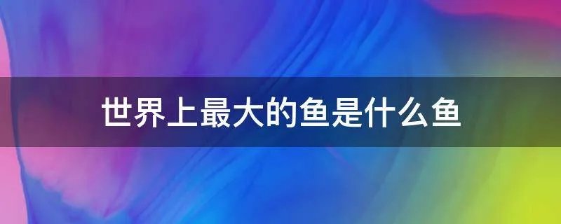 世界上最大的鱼是什么鱼