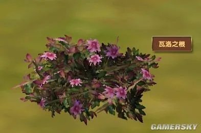 《模拟人生:中世纪》草药种类及分布图