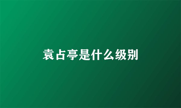 袁占亭是什么级别