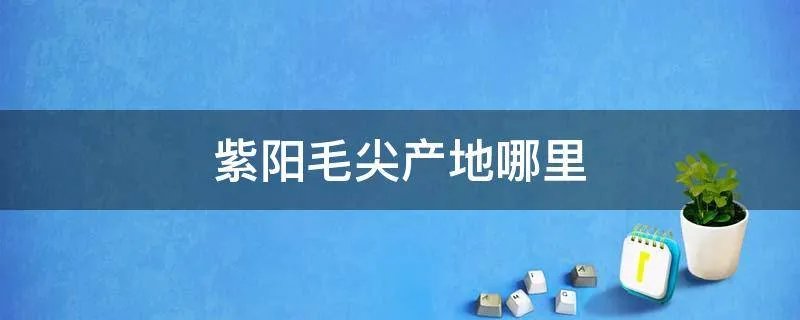 紫阳毛尖产地哪里