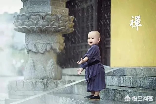 你的职场成长历程是怎样的?