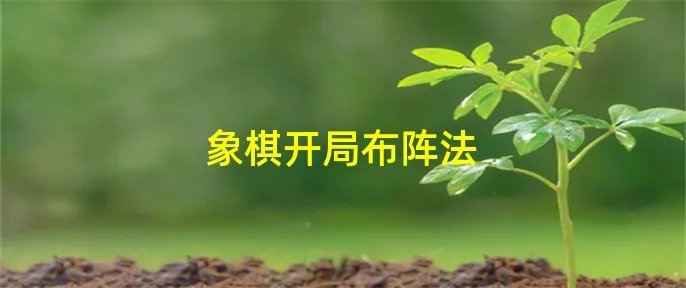 象棋开局布阵法