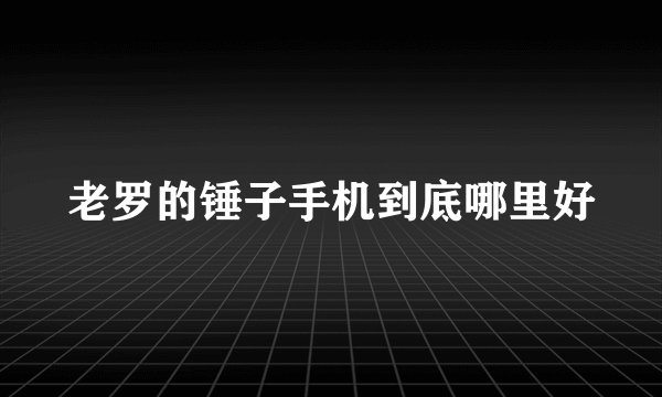 老罗的锤子手机到底哪里好