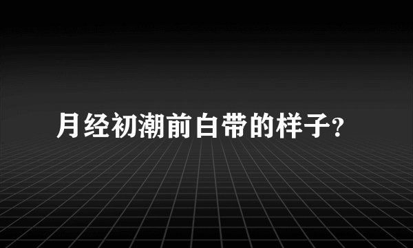 月经初潮前白带的样子？