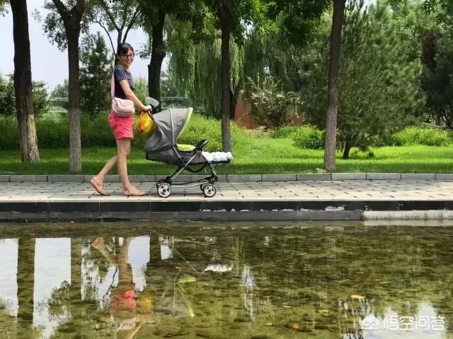 河北园博园有哪些不错的风景?