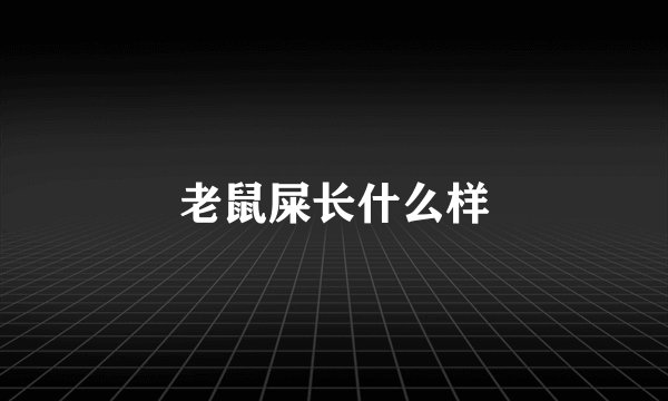 老鼠屎长什么样