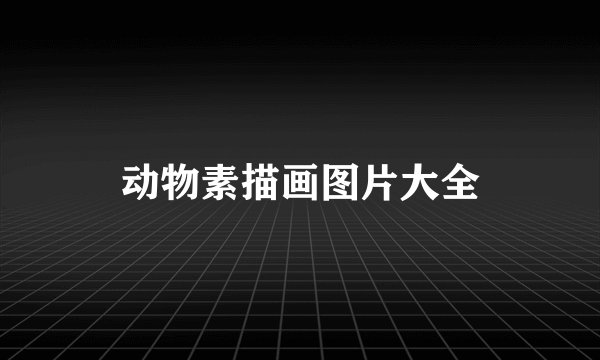 动物素描画图片大全