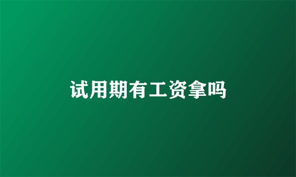 试用期有工资拿吗