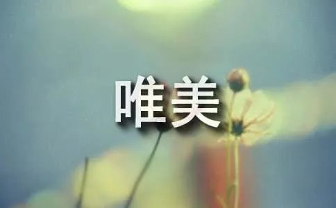 秋雨绵绵的唯美句子