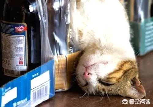 喝酒断片后,你经历过哪些尴尬?