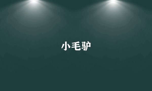 小毛驴