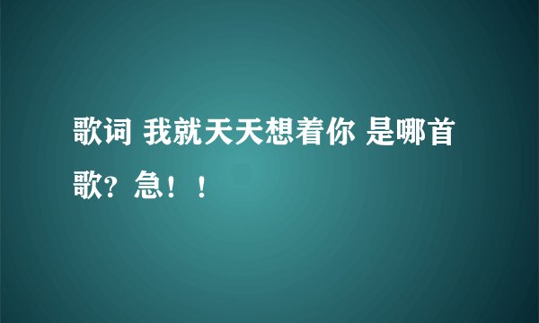 歌词 我就天天想着你 是哪首歌?急!!
