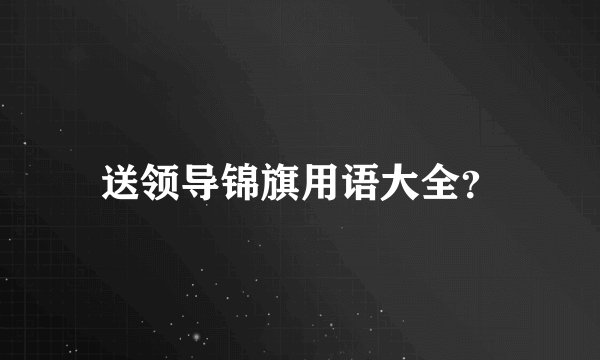 送领导锦旗用语大全？