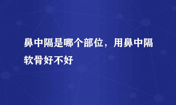 鼻中隔是哪个部位，用鼻中隔软骨好不好
