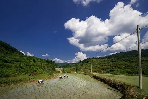 农谚的意思
