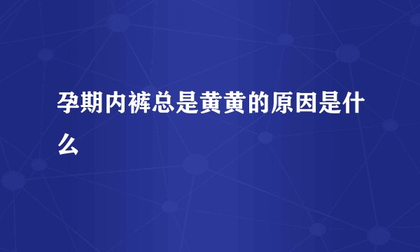 孕期内裤总是黄黄的原因是什么