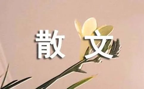 歌声里散文