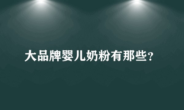 大品牌婴儿奶粉有那些?