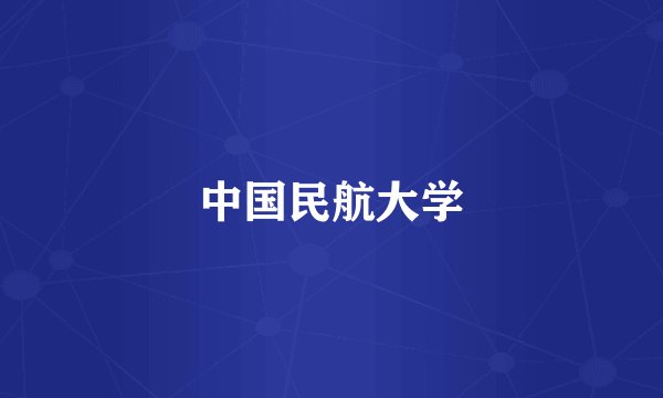 中国民航大学