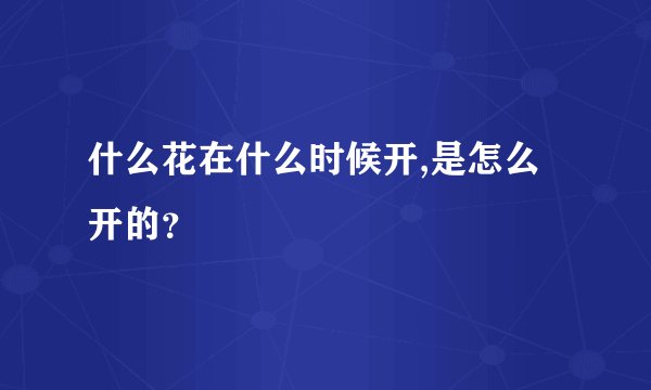 什么花在什么时候开,是怎么开的？