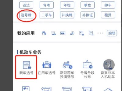 12123交管官网自编选号要选7天前