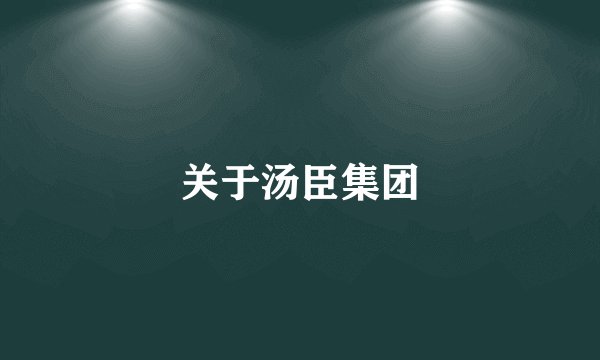 关于汤臣集团