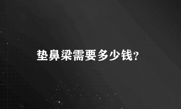 垫鼻梁需要多少钱？
