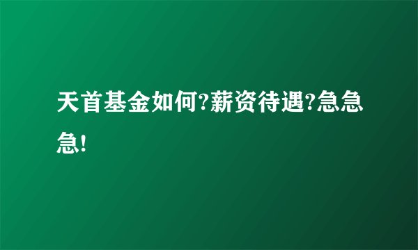 天首基金如何?薪资待遇?急急急!