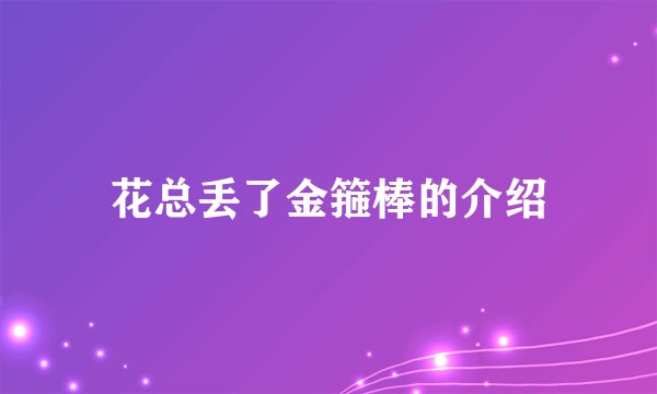 花总丢了金箍棒的介绍