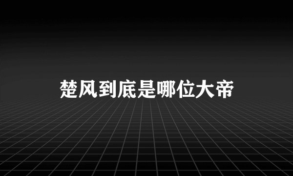 楚风到底是哪位大帝
