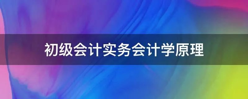 初级会计实务会计学原理