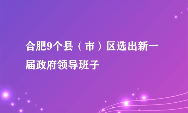 合肥9个县（市）区选出新一届政府领导班子